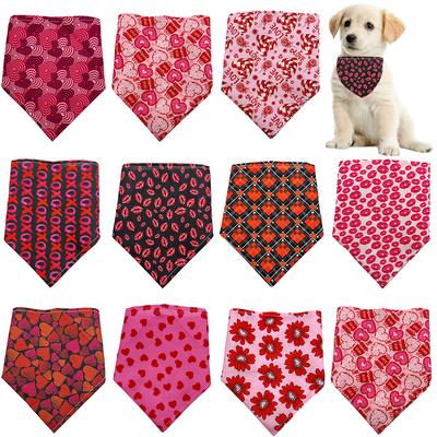 Giyim ve ayakkabı – Köpek Aksesuarları