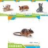 Kinder PVC Hamster Schnecke Gleitbeutler Tier Modell Display Für Bildung Und Sammlung