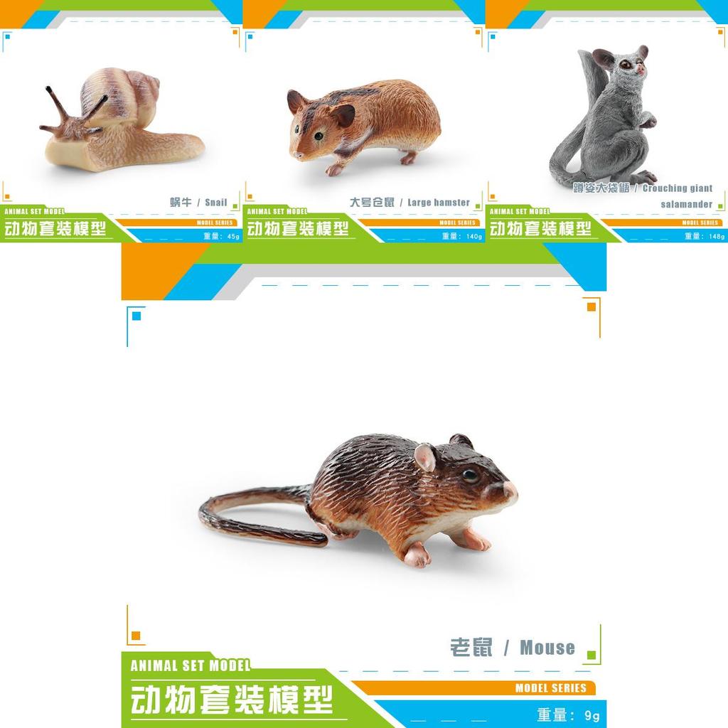 Kinder PVC Hamster Schnecke Gleitbeutler Tier Modell Display Für Bildung Und Sammlung
