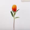 Artificial Banksia Flower Innovative Simulation Light Luxury Artificial Flowers Decorations for