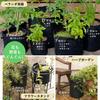 Leaf88 Nonwoven 34 Gallon diameter x 45cm Pack of 3 Planter, (60cm height),