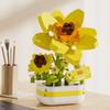 Building Blocks Potted Plants Immortal Flowers Fun Succulents Living Room Simulation Flowers Desktop Decoration Toys