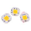 100W 70W 50W 220V Cob Led Chip For Spotlight Floodlight Led Light Beads Aluminum