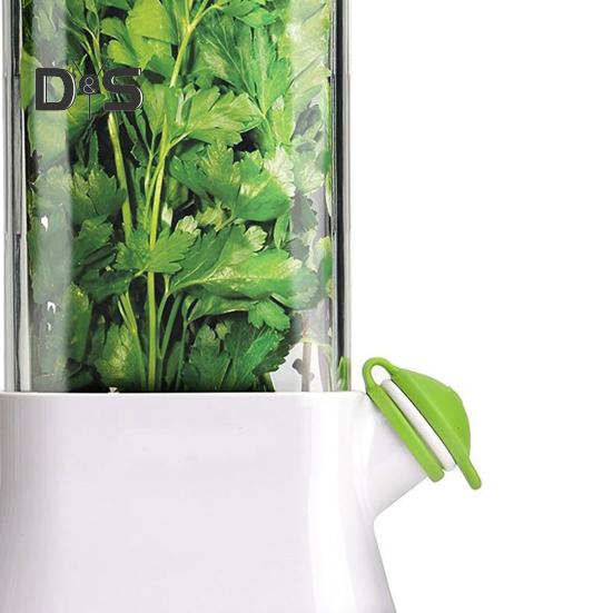 Vegetable Crisper Storage Container Easy-drain Anti-shattering Herb Saver Bottle Airtight Plastic Preserving Keeper for Kitchen Storing Cilantro