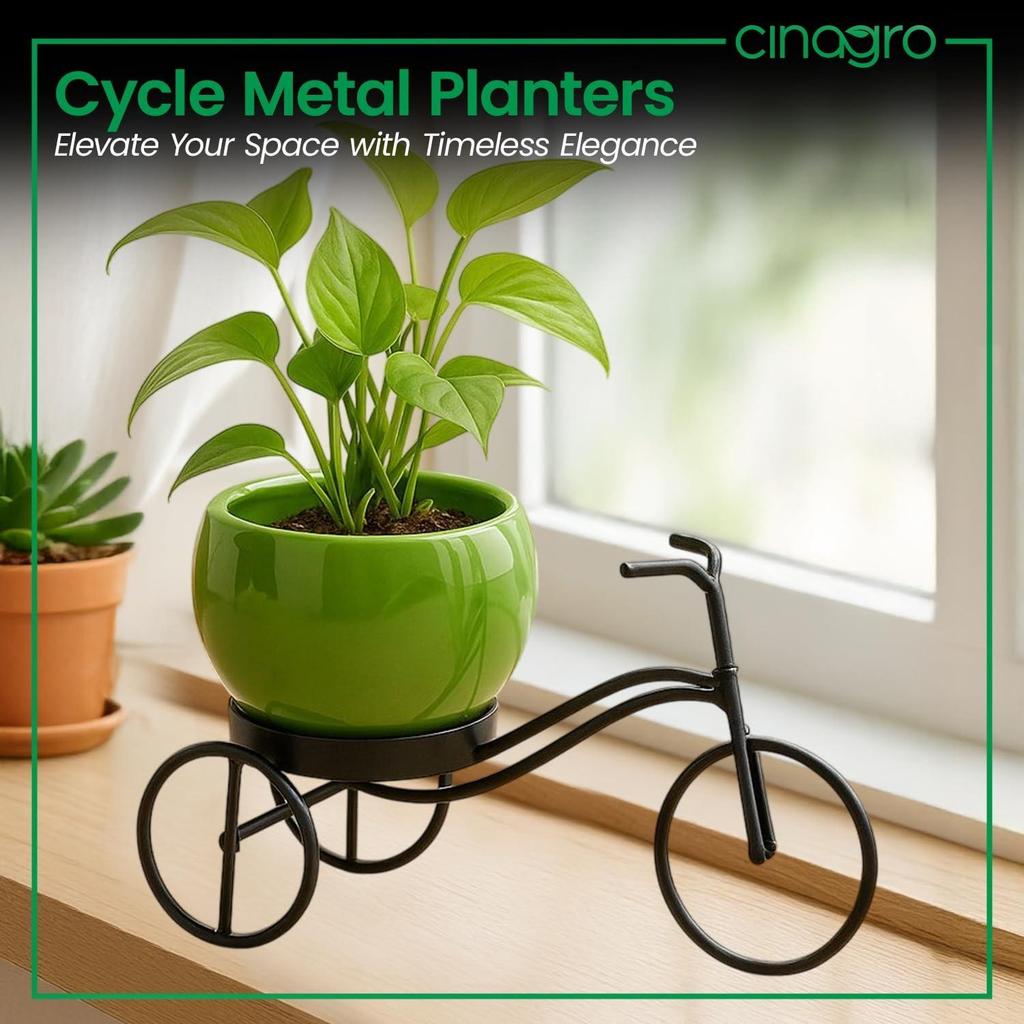Cycle-Shaped Metal Plant Stand for Indoor & Outdoor Use, Metal Cycle Flower Vase, Decorative Iron Planter Pot Holder for Flowers