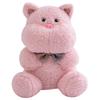 Cute Soft Kawaii Hag Plush Doll Bear Tiger Rabbit Frog Pig Doll Plush Toys Dec Kids Love Christmas Birthday Gifts