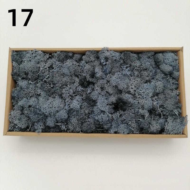 Neue 50/30/10g Künstliche Grüne Pflanzen Ewiges Leben Moos Gras Heim Garten Dekoration Mini Landschaft Künstliche Blume DIY Bastelgeschenke