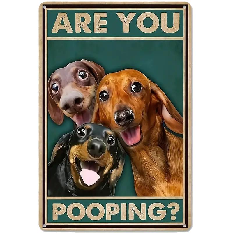 Retro Vintage "Are You Pooping" Tin Sign - Funny Black Cat Bathroom Restroom Wall Decor, Cat Lover Gift