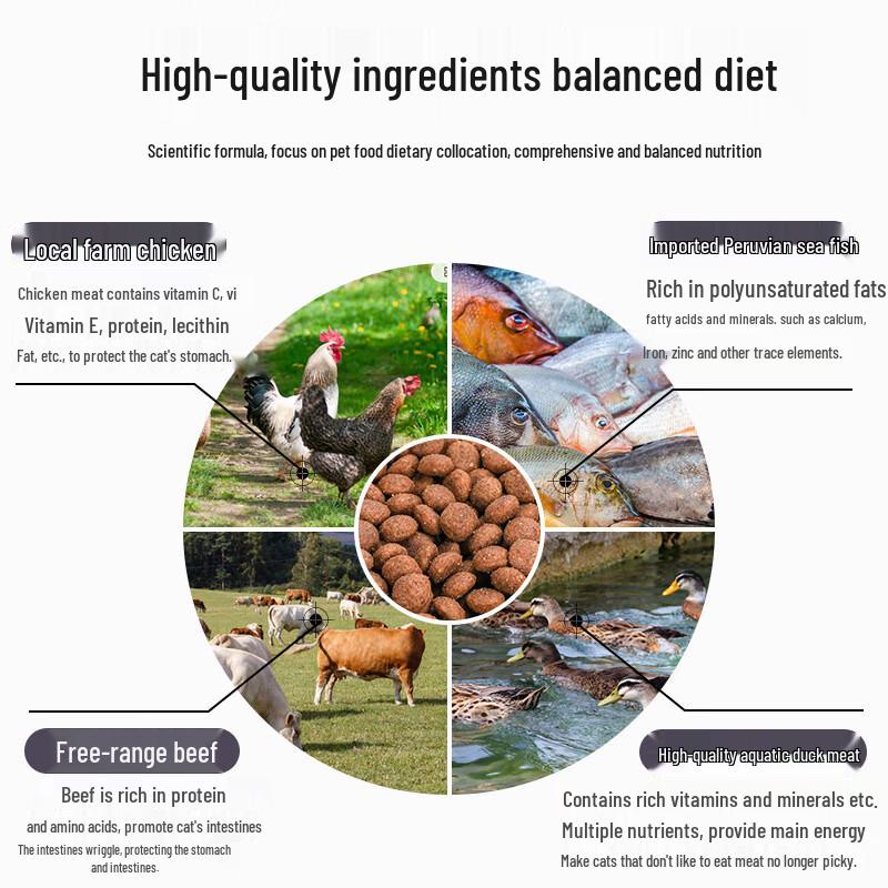 Royal Partner All-Stage Dry Cat Food