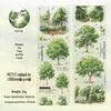 Ketchup Plant Landscaping Tape: Fresh, Cute, PET Material for Children's DIY Collage and Journaling.