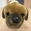 Used Tosa Inu Stuffed Animal, Tosa Fighting Dog Center, Height 20 Cm, Length 32 Cm