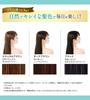 Sastty Rishiri Hair Color Treatment for Gray Shine Plus 150g Hair, (Natural Brown),