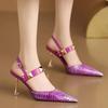 2025 Women's High Heels Plus Size Party Pumps Women Rivet Pointed Toe Buckle Strap Thin Heels Sandals Shoes for Women Zapatos