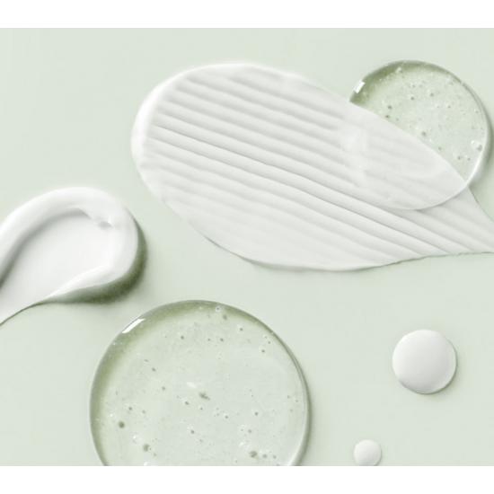 Tonymoly Green Tea Moisture Cream 100ml