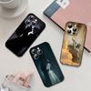 Court M-mists And Furys Black Phone Case That Fits For IPhone 17,16,15,11,13,14 Pro Max,Plus,X,Xr,Xs Max,13Mini