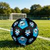 1PC Skull Artwork Big Eyes Soccer Ball Size 5 Football Machine Sewn Indoor/Outdoor Universal Football A64