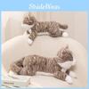 Realistic Cat Charming Plush Toy Cute Kitten Figure Ideal For Creative Gift Giving