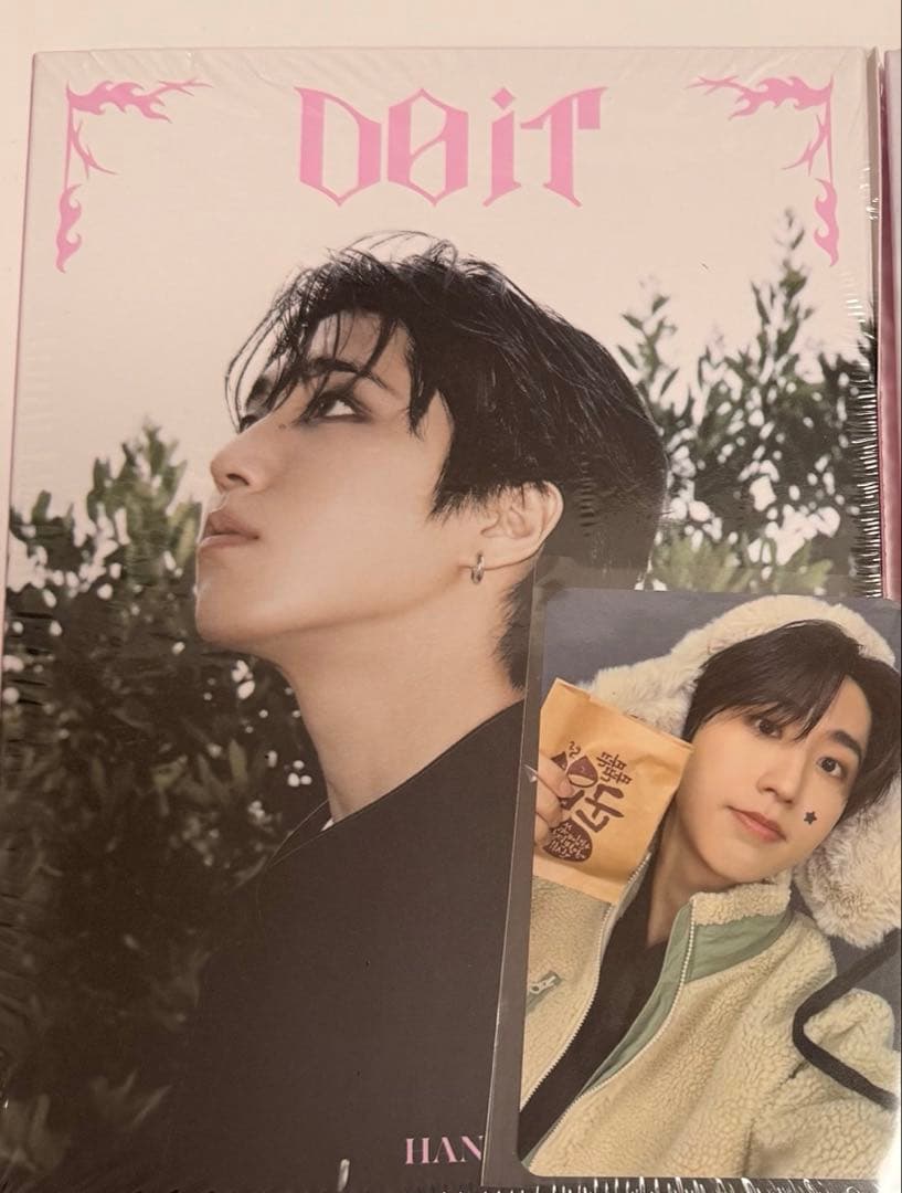 

[USED] Stray Kids DOiT Accordion ver. Han CD + Lucky Dro Trading Card