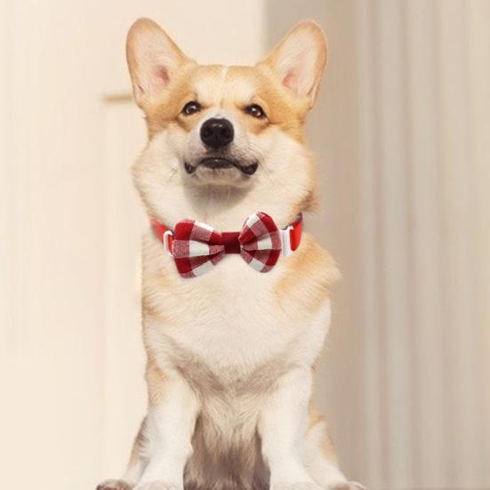 

Pet Collar High Elasticity Webbing Flexible Kitten Supplies Bow Bright Necklace