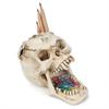 Skull Pen Holder Makeup Brush Holder Skull Pencil Organizer Pot Spooky Goth Decorations Skull Key Holder Trick or Treat Decor