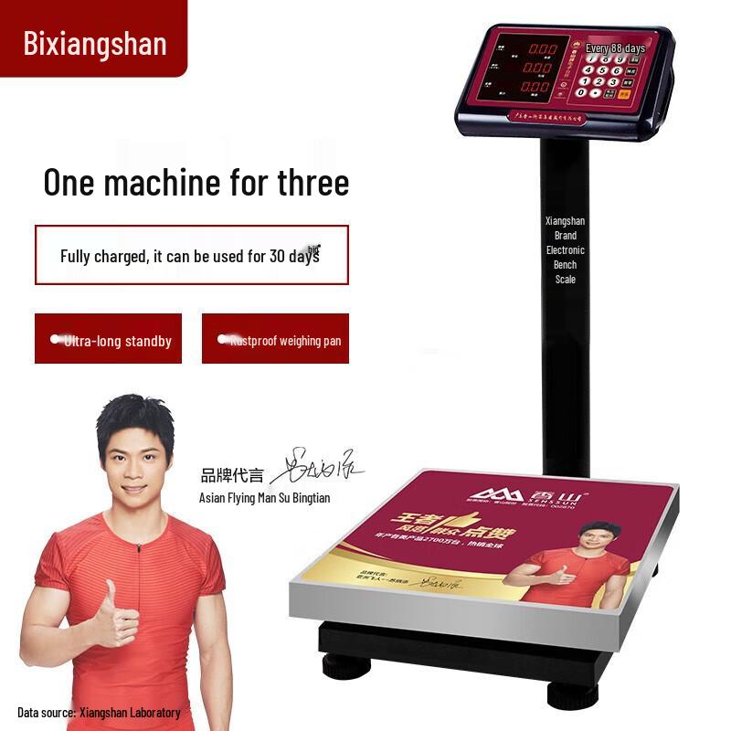 

High-Precision Digital Platform Scale