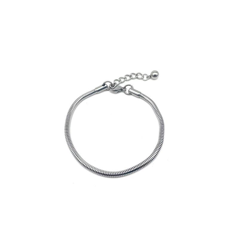 Versatile Snake Bone Chain Bracelet: Stainless Steel Unisex Street Style