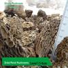 Yunnan First Flush Wild Dried Morel Mushrooms - Perfect for Soups