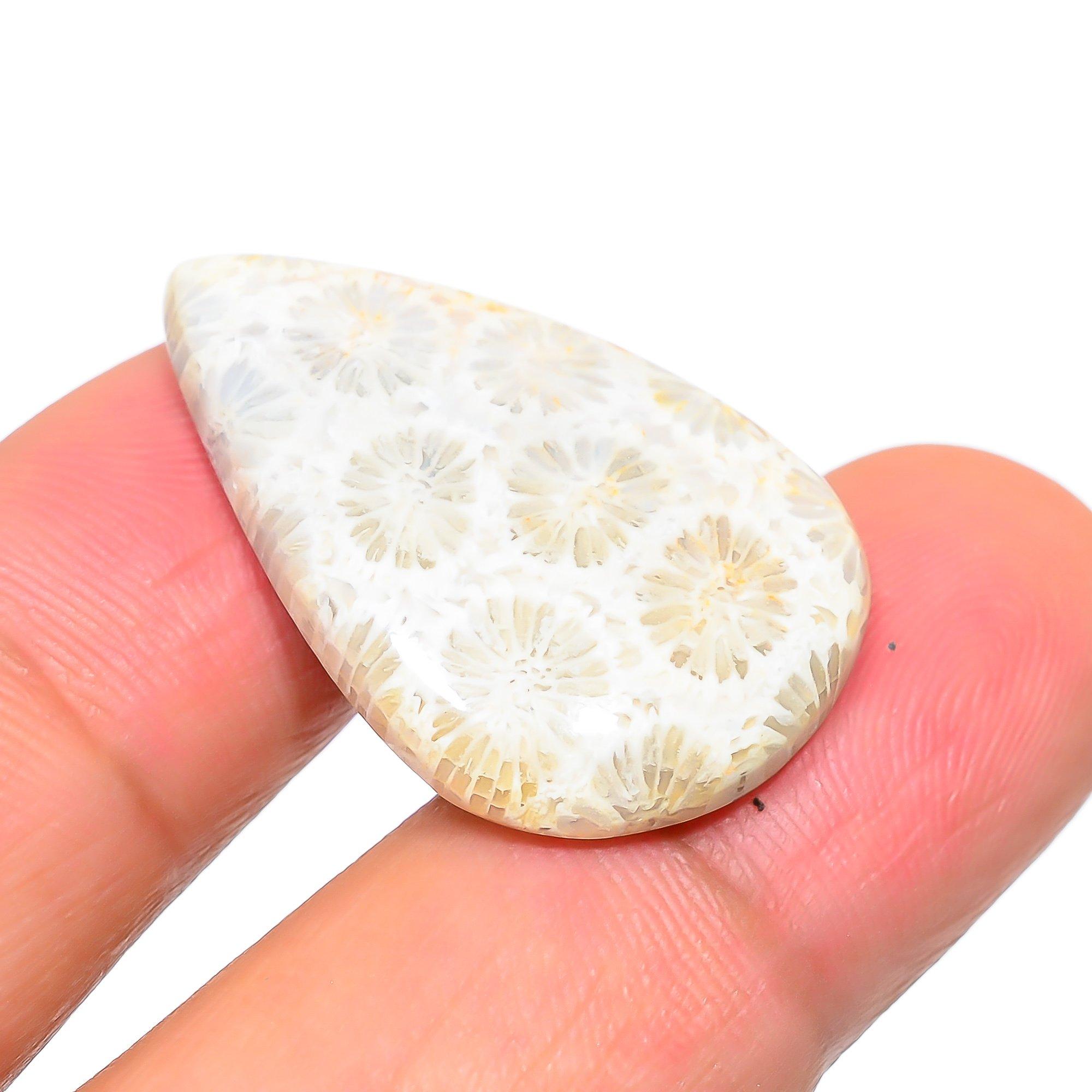 

Fossil Coral 2x3mm Natural Cabochon Fine Loose 20.55Cts. K5l71 жовтий