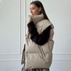 Women Winter Warm Padded Coat Solid Sleeveless Loose Demi-season Jacket For Women's 2024 Autumn New Casual Parka Street Outdoor Jackets Woman Clothes