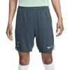Nike Dri Fit Soccer Bottom Men's Faded Spruce/Bicoastal Color/Enamel Green FQ2426-359