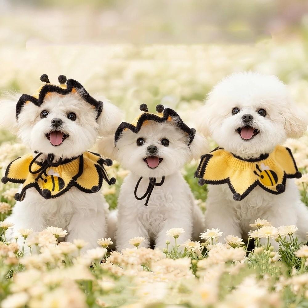 Pet Outfit Elastic Pet Knitted Hat Bee Shaped Comfortable Dog Scarfs Warm Dog Drool Towel Pet Accessories