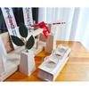 Shinto Altar and Altar Set with Wooden Base and Glass, 8-piece Set (KTJP-TKSET)
