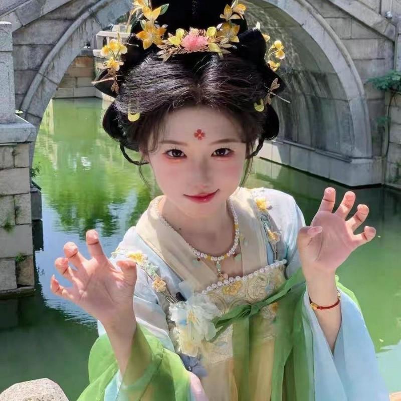 Tang Dynasty Style Hanfu Set Women Embroidered Qi Xiong Ruqun With Wide Sleeves Flowy Outfit