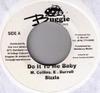 7inch Record SIZZLA / LUKIE D - Do It To Me Baby / I Don't Want To  NONE Buggie Producti 2008 Jamaica Reggae, Ska & Dub Used