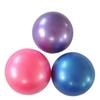 25cm Pilates Yoga Ball Explosion-proof Indoor Balance Exercise Gym Ball Fitness Equipment For Yoga Pilates Ballet