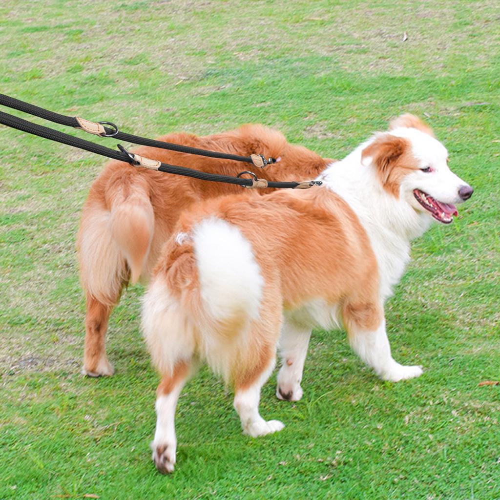 Multifunktionellt Dubbelkoppel för Hund Medium Justerbart och Nylon Lyx Hands Free Småhundskoppel koppel För 2 Hundar