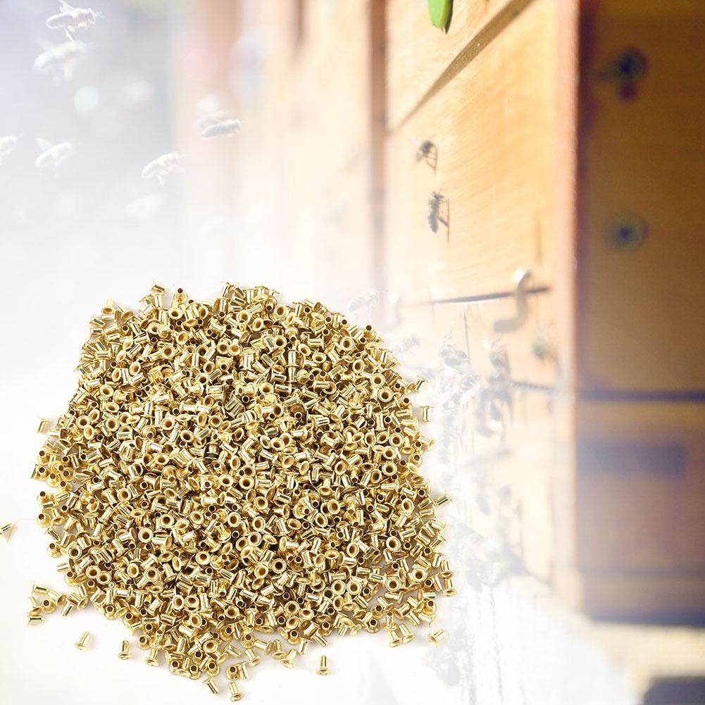 

Пчелиный улей Улей Латунная рамка гнезда Люверсы Пчеловоды Инструменты для пчеловодства (1000 шт.)