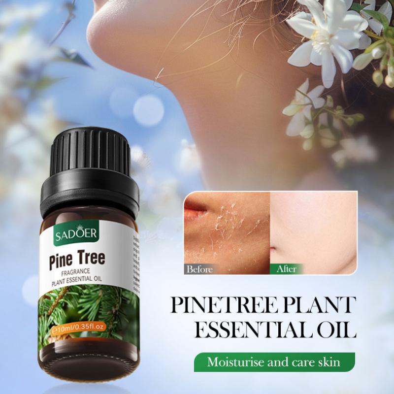 Botanischer Duft ätherisches Öl, Kiefer nährende Haut Körper Serum