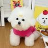 Fashion Style Dopamine Dog Pullover Hoodie Warm Thick Breathable Cat Sweatshirt Cartoon Print Soft Pet Puppy Skirt Puppy Apparel