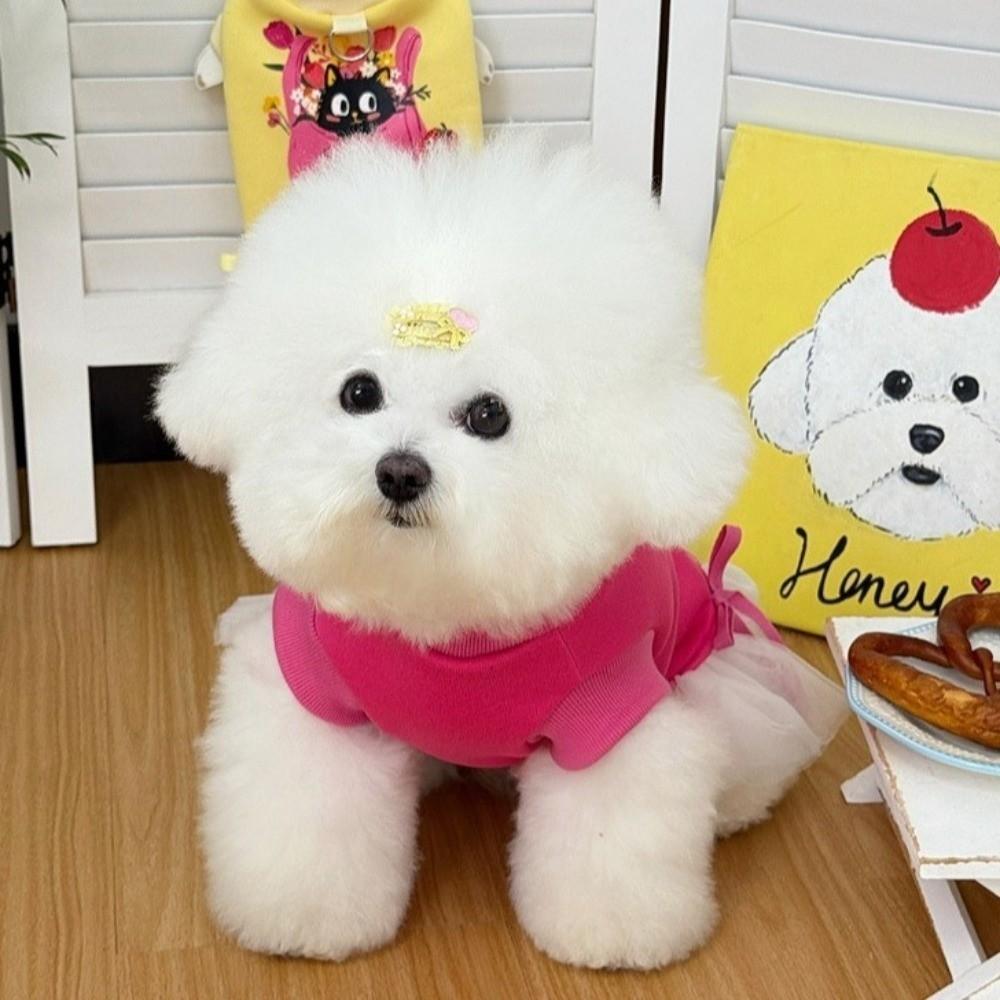 Fashion Style Dopamine Dog Pullover Hoodie Warm Thick Breathable Cat Sweatshirt Cartoon Print Soft Pet Puppy Skirt Puppy Apparel