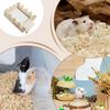 Hasenversteck Hamsterkäfig Haus Aktivität Dekorativer Holzlebensraum zum Nagen Chinchilla Spielen Verstecken Ausruhen Hamster Hase