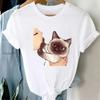 Summer Cute Cat Pattern Printed T-shirt with Breathable Micro Elastic Fashion Short Sleeved White Minimalist Versatile Top