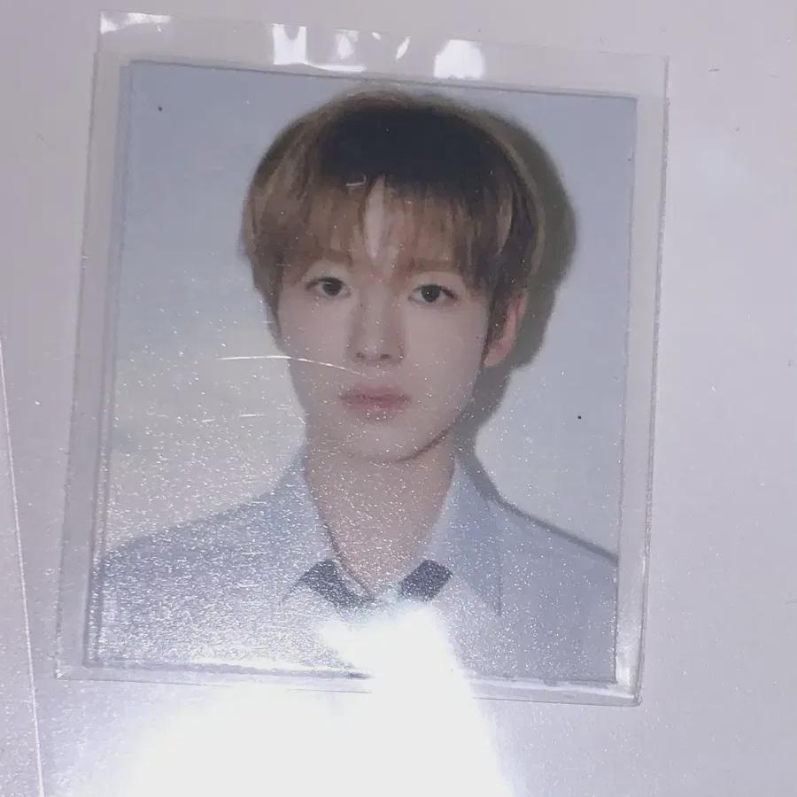 

1 Фотография сертификата Nct Wish Youshi Suowi School Of Wish