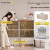Yeya Luxury Multi-Layer Dustproof Shoe Cabinet