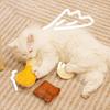 Cat Chew Toy Loofah Interactive Games 3 Pieces Cat Food Shape Treat Toy For Indoor Outdoor Home Travel Shelter Yard Garden