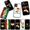 Cover for Apple iPhone 16 15 14 Plus 13 12 Mini 17 Pro Max + ProMax 16E Air Casing Phone Case Kurdistan Flag
