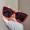 Fashion Street Shooting Cat Eye Sunglasses Po Props Leopard Square Frame Sun Glasses UV400 Protection Eyewear for Women