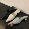 Elegant Design Summer Fashion Thin Mid Heels Women Slippers Elegant Pointed Toe Party Dress Mule Slides Shoes