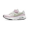 Nike Air Max SC Vintage Cushioning Abrasion Resistant Breathable Low Top Kids' Casual Shoes Hook and Loop Pink Green CZ5356-110