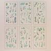 6 pcs/pack Adhesive PVC Plant Flower Sticker Nature Transparent Flower Stickers  Album